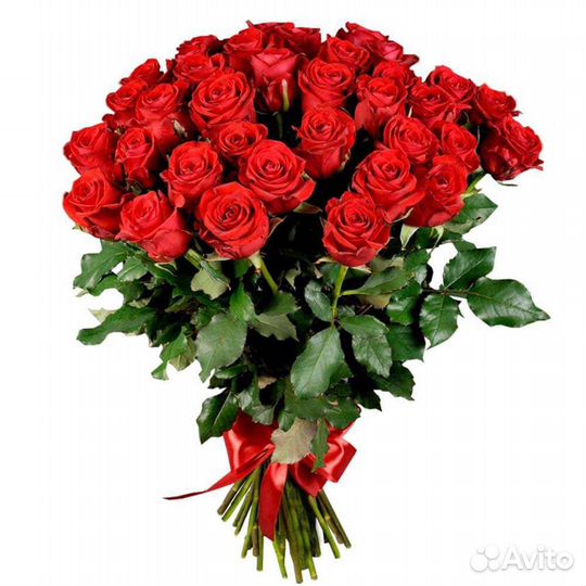 25 роз букет