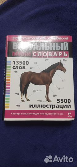 Китайско-русский/ русско-китайский словарь