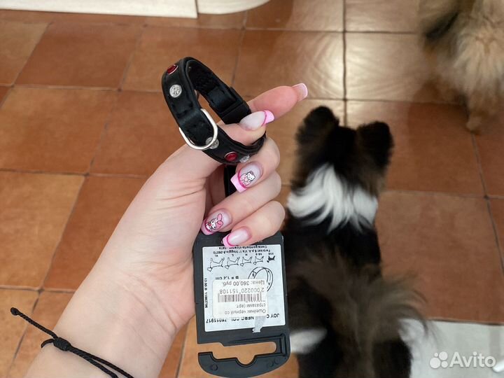 Ошейник со стразами для мелких пород