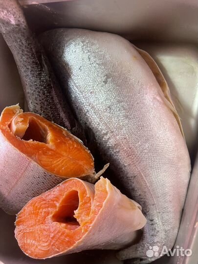 Свежая и слабосоленая рыбка к пасхе