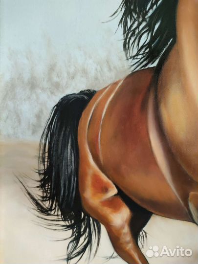 Картина маслом на холсте Скачущая лошадь