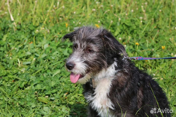 Малышка Маня