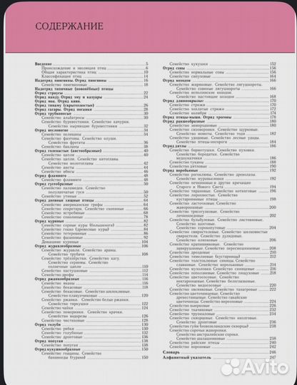 Энциклопедия для детей