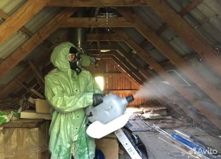 Средство для Уничтожения клопов травли тараканов, блох