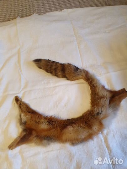 Меховой воротник лиса