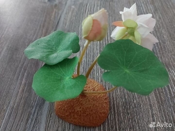 Декоративная цветочная композиция