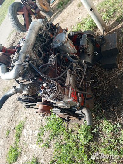 Двигатель д245с12