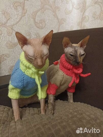 Кофточки для собачек и кошек