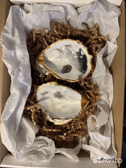 Икорница / раковина устрицы/подарочный набор