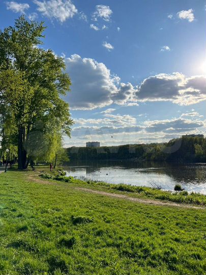2-к. квартира, 51,4 м², 6/14 эт.
