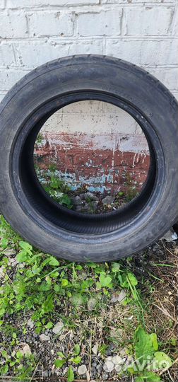 Toyo Proxes T1-R 205/55 R16