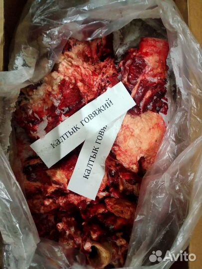 Калтык говяжий