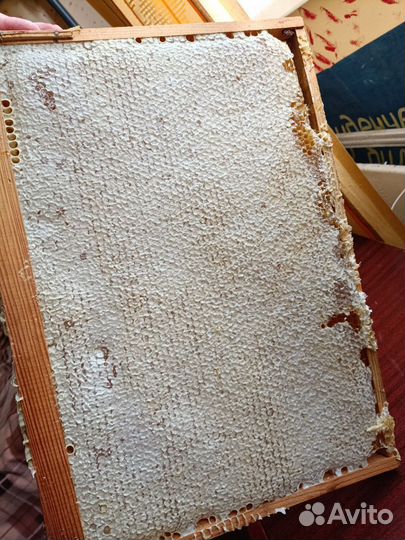 Продам мëд и продукты пчеловодства