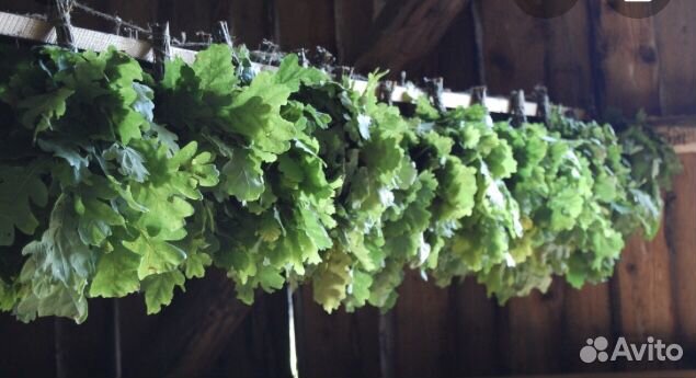 Веник дубовый для бани