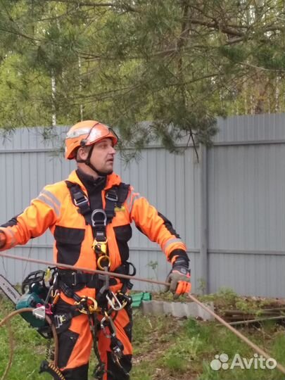 Спилить дерево