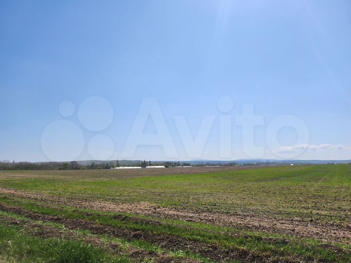 Участок 5,4 га (СНТ, ДНП)