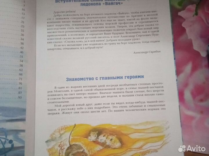 Книга преключения на атомном ледоколе