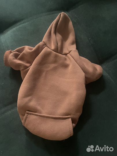 Одеждк для собак