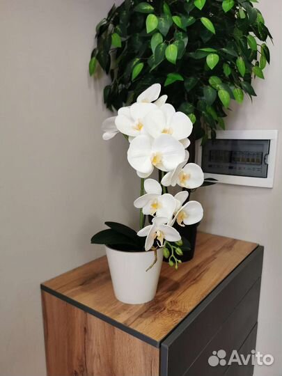 Орхидея искусственная