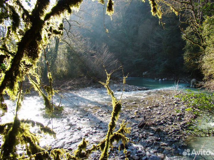Экскурсия — Сочи — По следам динозавров в окрестно