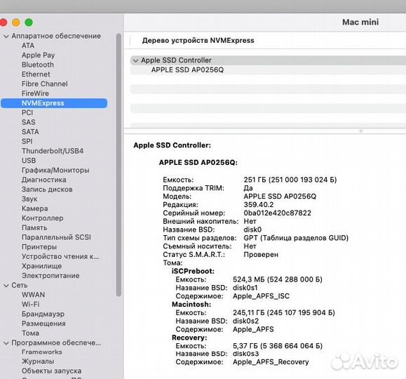 Apple mac mini m1