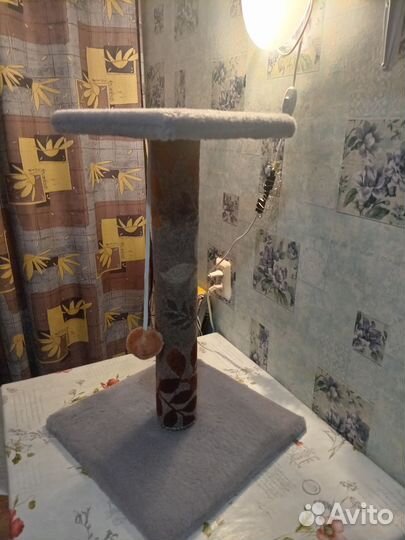 Когтеточки и домик б/у