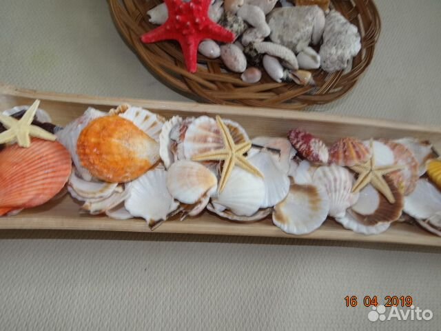 Морская коллекция (Индийский океан)