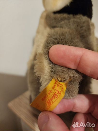 Пингвин Германия