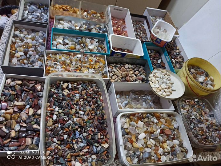 Крошка галтованная