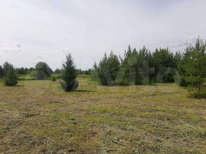 Участок 51 сот. (ИЖС)