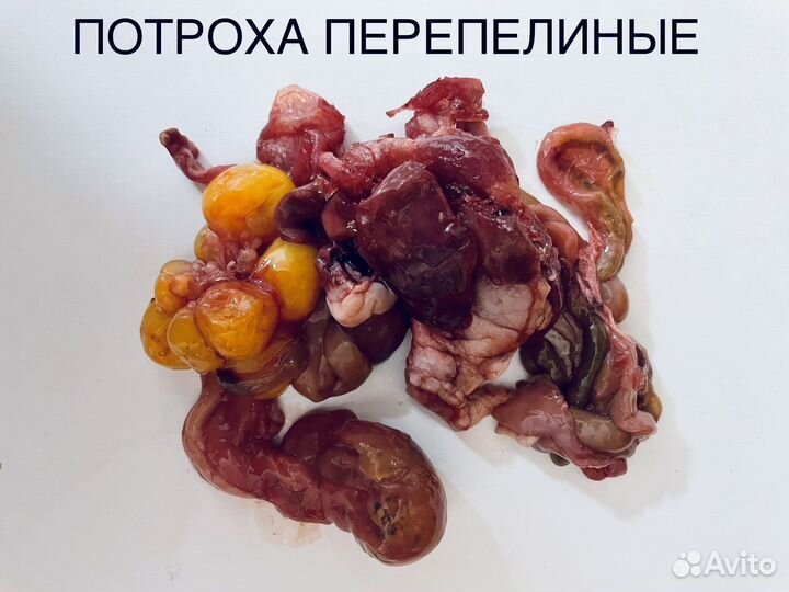 Мясные продукты для собак в наличии в Вологде