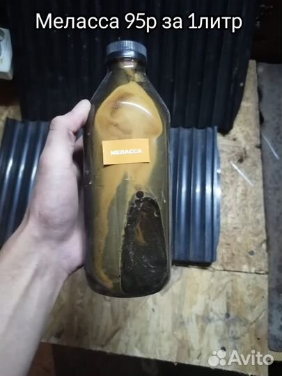 Все для рыбалки