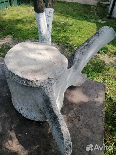 Позвоночная кость