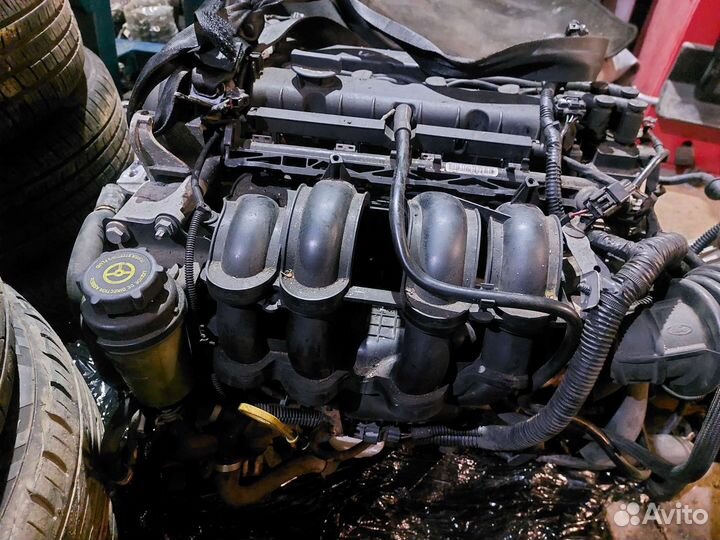 Впускной коллектор Focus 2 1.6 115 лс