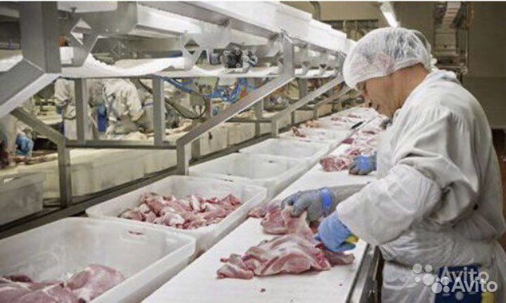 Грузчик разнорабочий