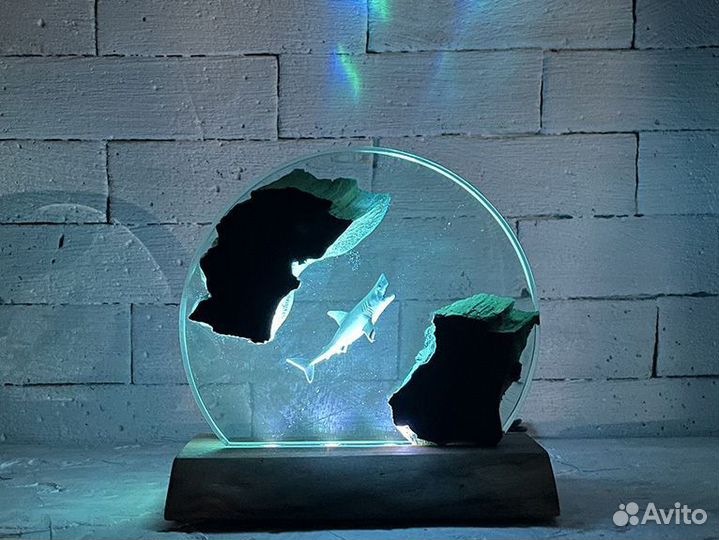 Ночник акула