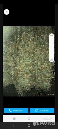 Гумай +трава