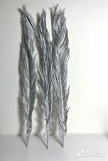 Листья пальмы серебряные высокие сухоцвет