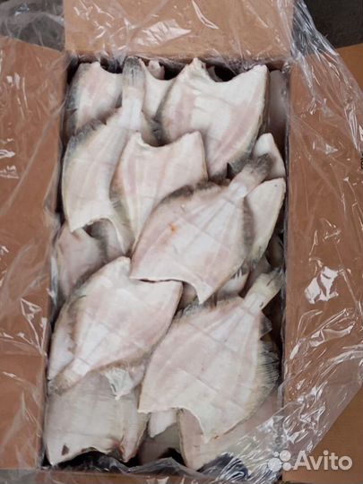 Рыба. Свежая. Мороженая. Оптом. 2023г