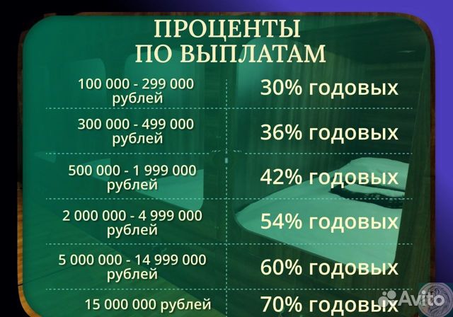 Бизнес инвестиции 30-70 годовых