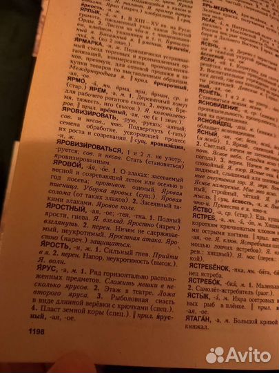 Словарь Ожегов, издание 2004 года, 1200 страниц