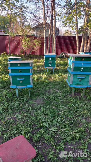 Улей для пчел бу