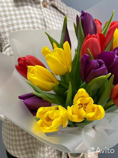 Букет тюльпанов 15 шт