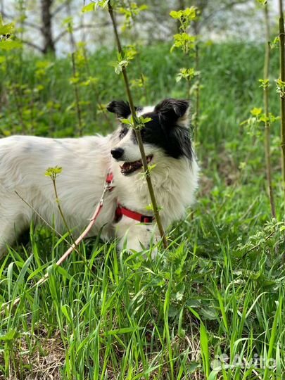 Скромная девочка мечтает о любящей семье