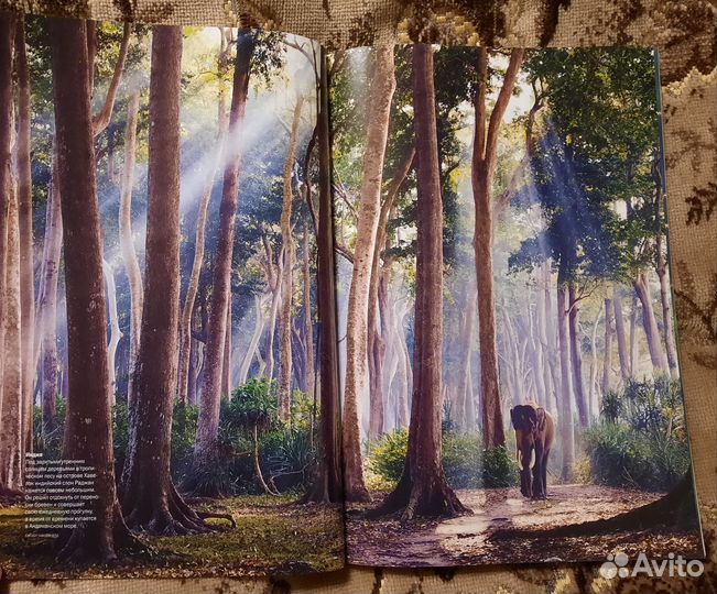 Журнал National Geographic август 2012