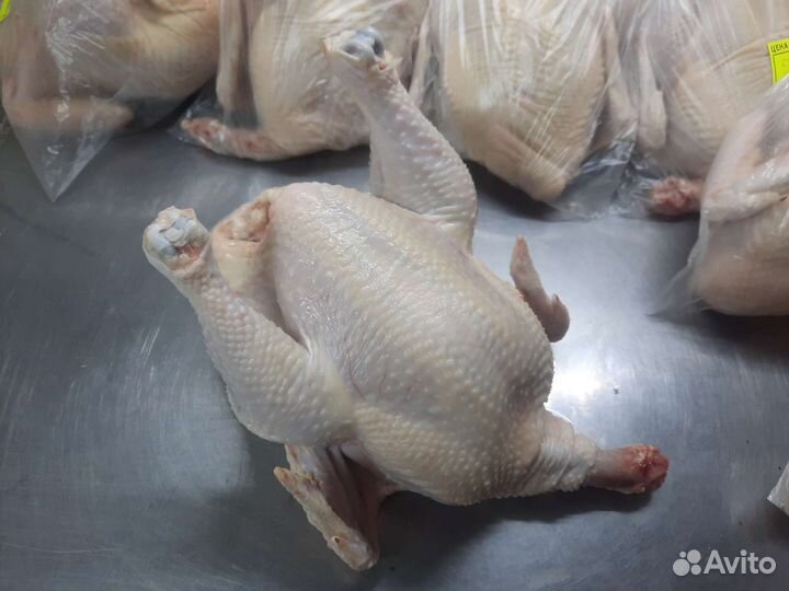 Домашнее мясо кур бройлеров предзаказ