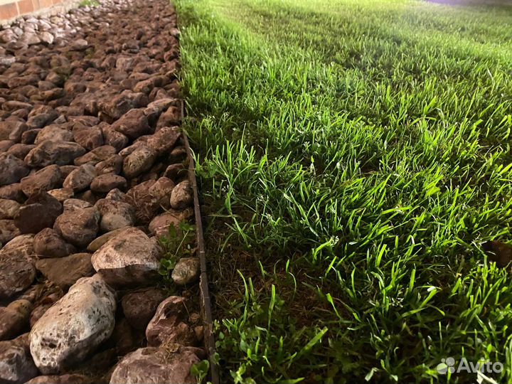 Газон под ключ