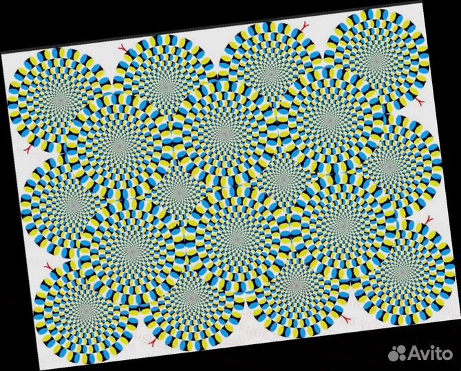 Фасовщик на склад выплаты еженедельно Дружный колл