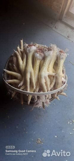 Куриные лапы для собак