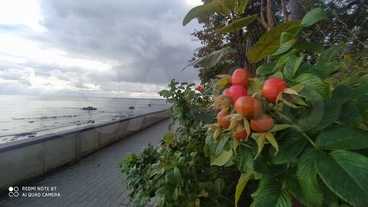 Участок 14,4 сот. (ИЖС)